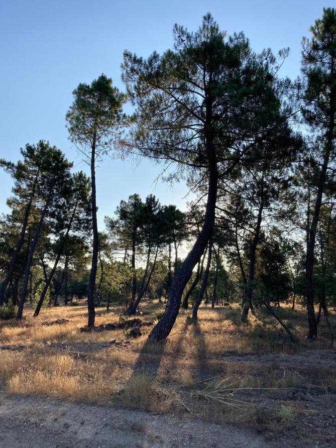 Apartamento Turistico Cerca Aranda De Duero La Ren Lecres Vadocondes ภายนอก รูปภาพ